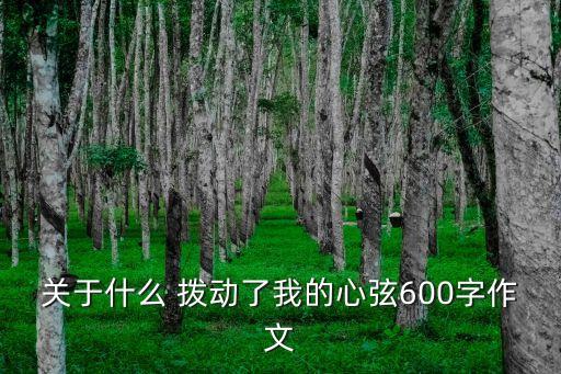 關(guān)于什么 撥動了我的心弦600字作文