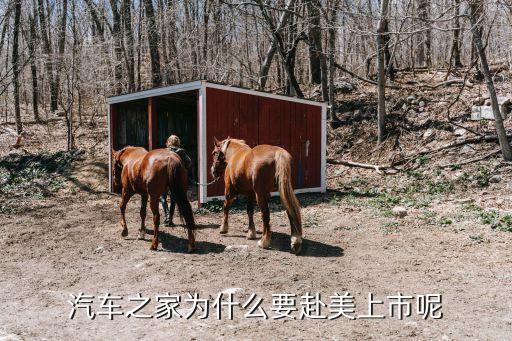汽車(chē)之家上市，汽車(chē)之家為什么要赴美上市呢
