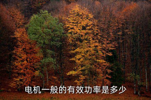 電機(jī)一般的有效功率是多少