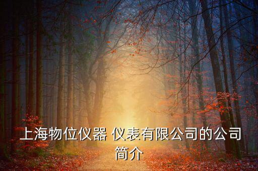 上海專業(yè)自動(dòng)化儀表廠家,上海自動(dòng)化儀表有限公司