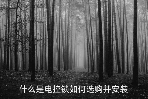 電控鎖，什么是電控鎖如何選購并安裝