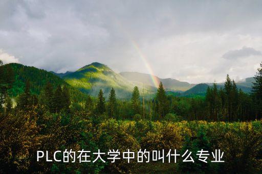 PLC的在大學(xué)中的叫什么專業(yè)