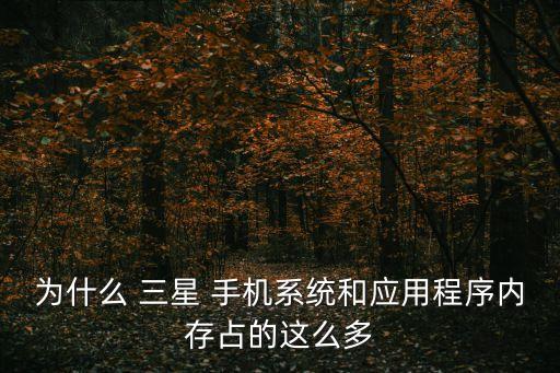 為什么 三星 手機(jī)系統(tǒng)和應(yīng)用程序內(nèi)存占的這么多