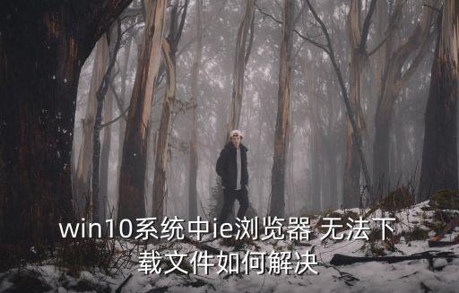 無(wú)法下載,win10系統(tǒng)中ie瀏覽器無(wú)法下載文件怎么辦?