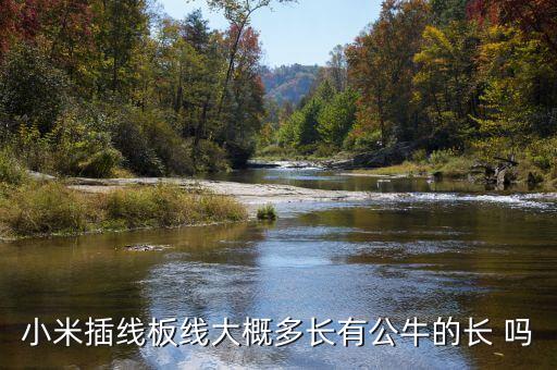 小米插線板線大概多長有公牛的長 嗎