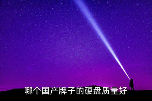 哪個國產(chǎn)牌子的硬盤質(zhì)量好