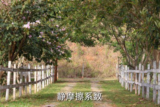 靜摩擦系數(shù)