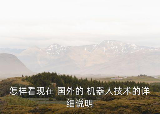 國外服務機器人,國外掃地機器人