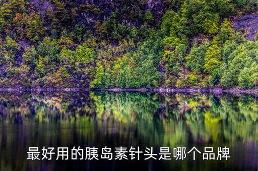 最好用的胰島素針頭是哪個(gè)品牌