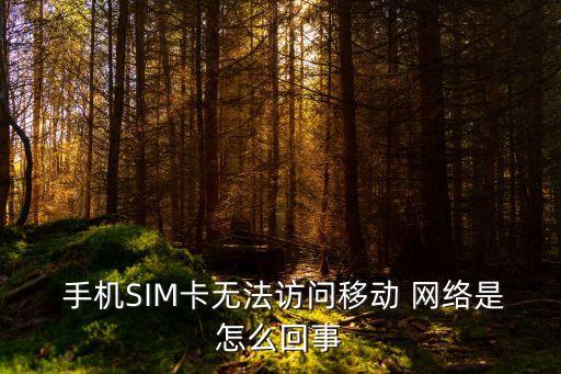  手機(jī)SIM卡無法訪問移動 網(wǎng)絡(luò)是怎么回事
