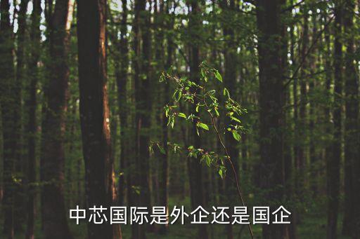 中芯國際是外企還是國企