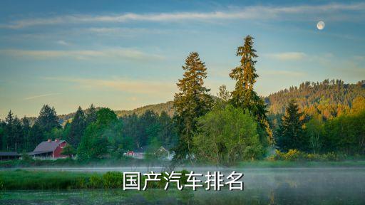 國產車排行榜，國產汽車排名