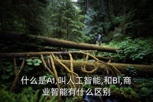 什么是AI,叫人工智能,和BI,商業(yè)智能有什么區(qū)別