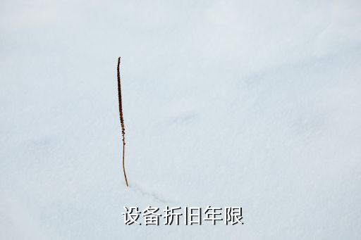  設(shè)備折舊年限