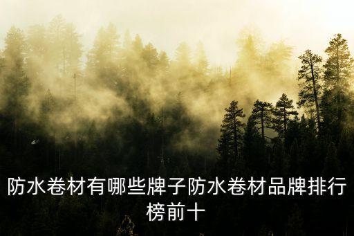 防水卷材有哪些牌子防水卷材品牌排行榜前十