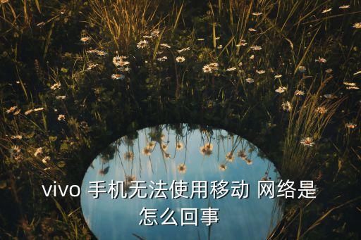 手機(jī)上不了移動(dòng)數(shù)據(jù)網(wǎng)絡(luò),手機(jī)有費(fèi)用但是移動(dòng)數(shù)據(jù)不能用為什么
