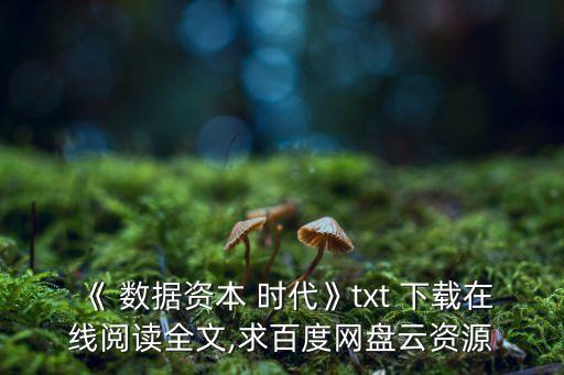 大數(shù)據(jù)時(shí)代的歷史機(jī)遇 pdf下載