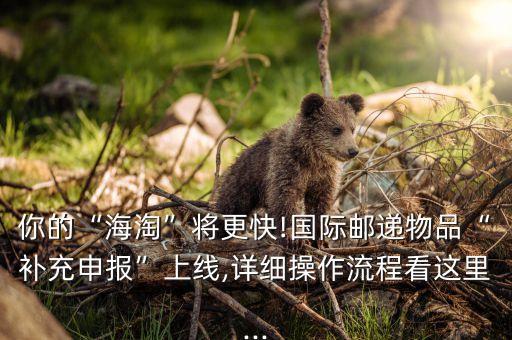 你的“海淘”將更快!國(guó)際郵遞物品“補(bǔ)充申報(bào)”上線,詳細(xì)操作流程看這里...
