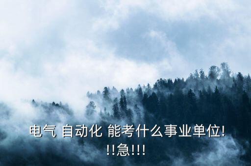  電氣 自動(dòng)化 能考什么事業(yè)單位!!!急!!!