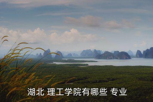  湖北 理工學(xué)院有哪些 專業(yè)