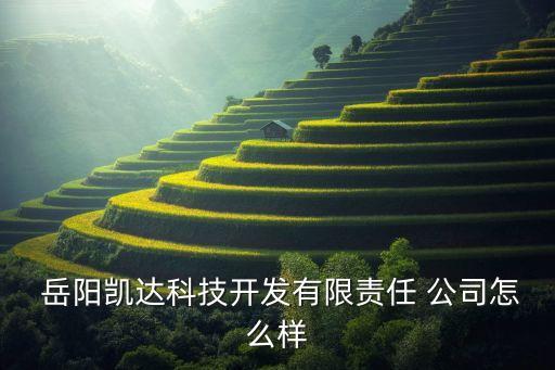 岳陽自動化安裝公司,自動化安裝公司技能水平