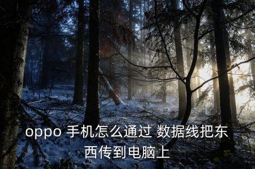 手機(jī)用數(shù)據(jù)線傳文件在哪里,手機(jī)通過數(shù)據(jù)線連接電腦傳文件