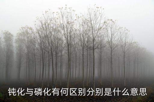  鈍化與磷化有何區(qū)別分別是什么意思