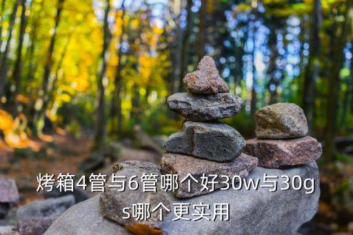 烤箱4管與6管哪個好30w與30gs哪個更實用