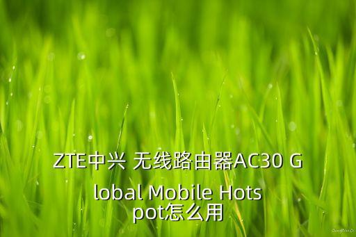 中興30s，中興u960s