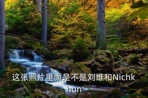 這張照片里面是不是劉維和Nichkhun