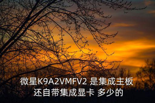 微星K9A2VMFV2 是集成主板 還自帶集成顯卡 多少的