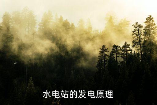水力發(fā)電的原理，水電站的發(fā)電原理