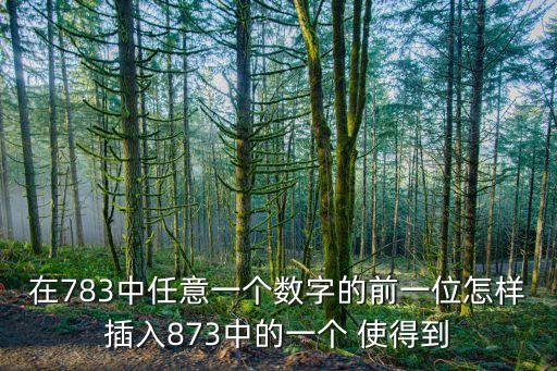 在783中任意一個(gè)數(shù)字的前一位怎樣插入873中的一個(gè) 使得到