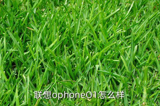 聯(lián)想手機(jī)o1，聯(lián)想O1軟件性能