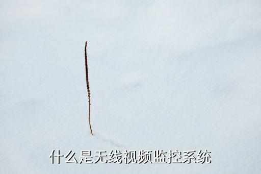 什么是無線視頻監(jiān)控系統(tǒng)