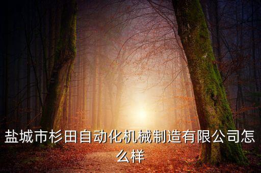 鹽城市杉田自動化機械制造有限公司怎么樣