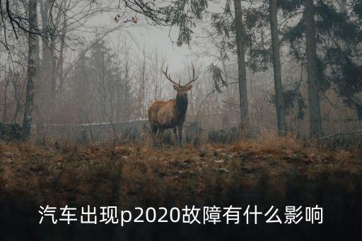 P2020，瑞風(fēng)汽車故障碼p2020是什么意思