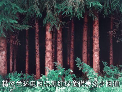 電阻色環(huán)對照表，精密色環(huán)電阻棕黑紅綠金代表多少阻值
