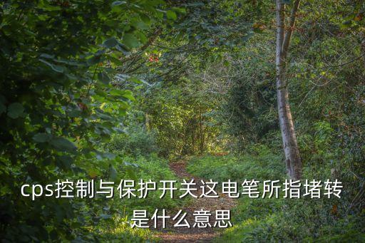 控制保護(hù)開關(guān)，哪種控制保護(hù)開關(guān)好價(jià)格如何質(zhì)量好不好呢