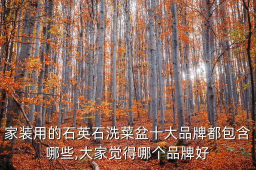 自動化菜盆設備,陽臺種菜好嗎?自制陽臺菜花盆