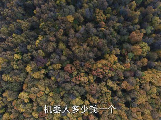 機(jī)器人多少錢一個