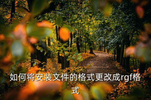 如何將安裝文件的格式更改成rgf格式