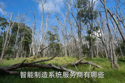 汽車自動(dòng)化設(shè)備服務(wù)商是干嘛的,自動(dòng)化設(shè)備廠家做什么工作?