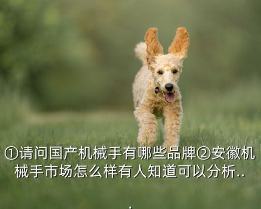 ①請問國產(chǎn)機械手有哪些品牌②安徽機械手市場怎么樣有人知道可以分析...