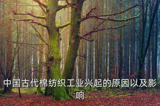 中國(guó)古代棉紡織工業(yè)興起的原因以及影響