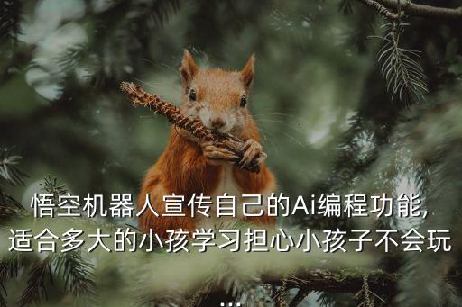 悟空機(jī)器人宣傳自己的Ai編程功能,適合多大的小孩學(xué)習(xí)擔(dān)心小孩子不會(huì)玩...