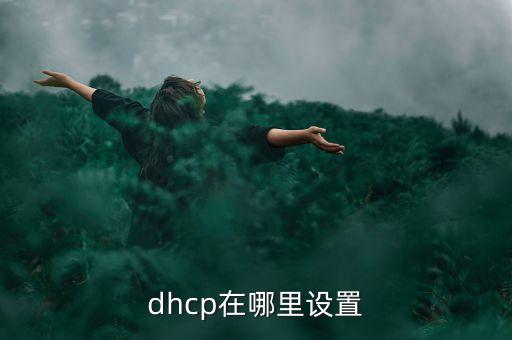 dhcp在哪里設(shè)置
