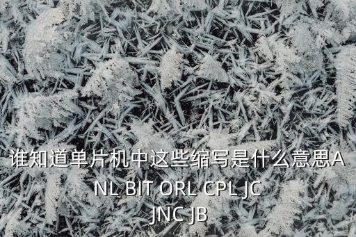 誰知道單片機(jī)中這些縮寫是什么意思ANL BIT ORL CPL JC JNC JB