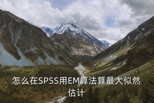 怎么在SPSS用EM算法算最大似然估計