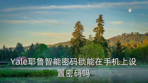 Yale耶魯智能密碼鎖能在手機(jī)上設(shè)置密碼嗎